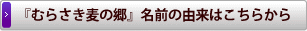 『むらさき麦の郷』名前の由来はこちらから